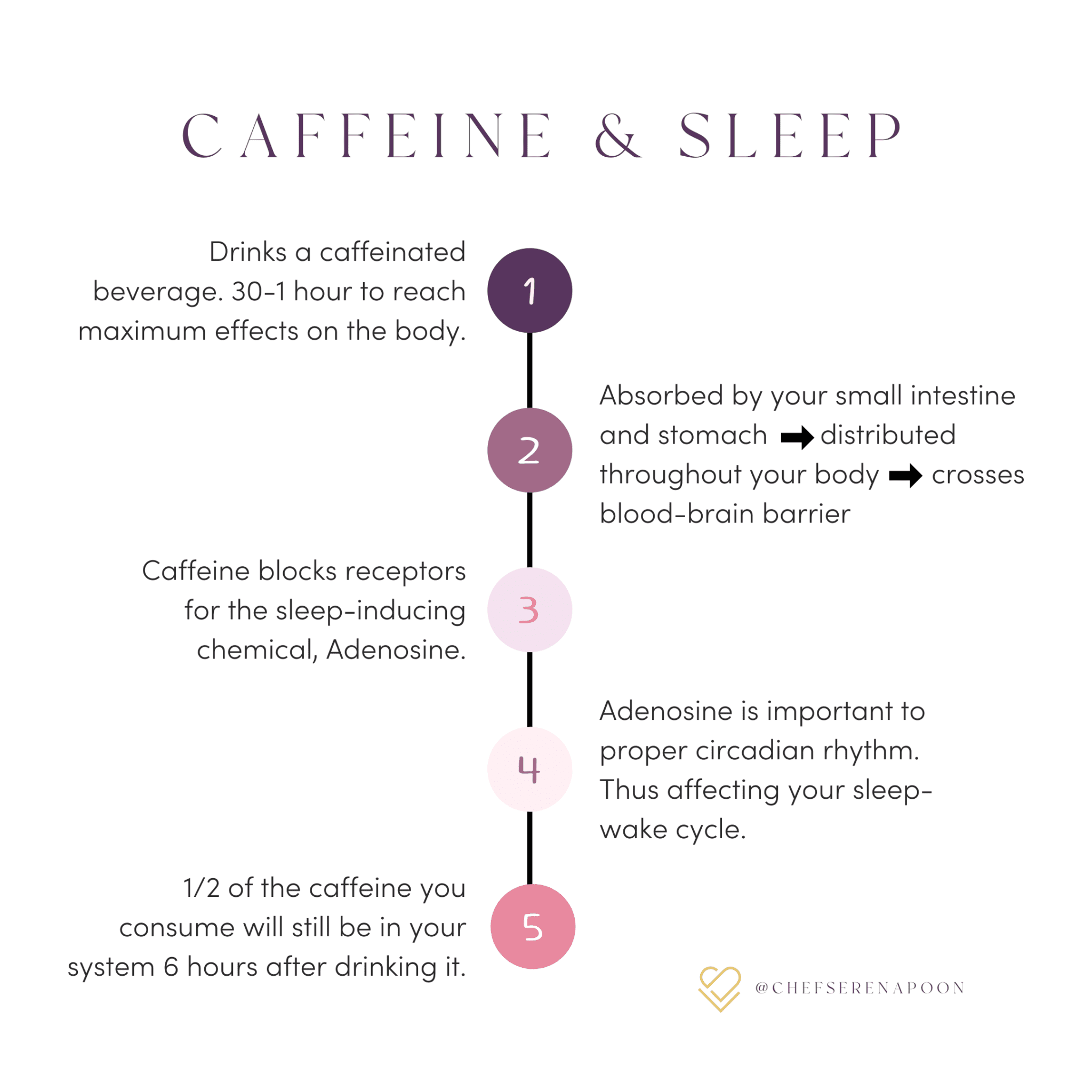 How To Connect To Your Natural Circadian Rhythm | Serena Loves
