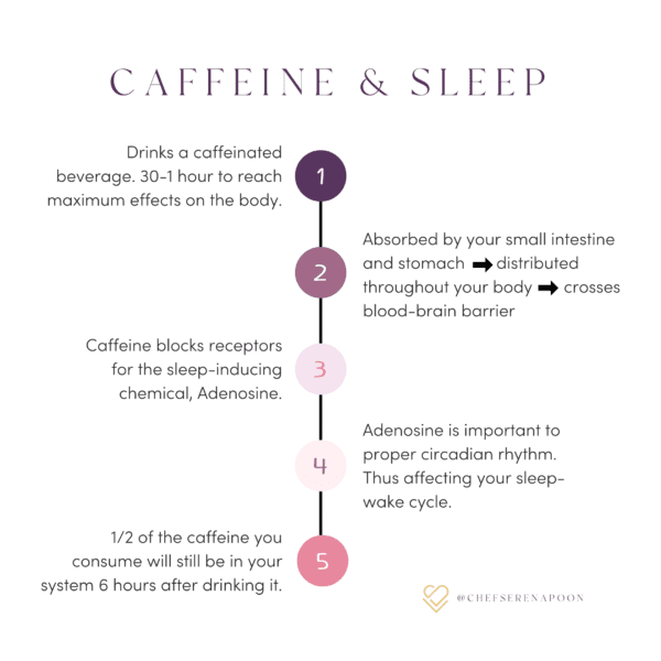 How To Connect To Your Natural Circadian Rhythm | Serena Loves