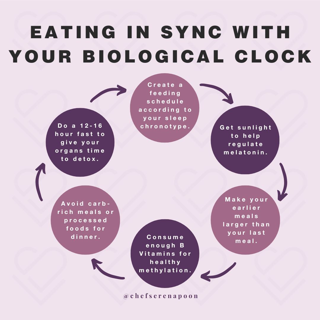 How to Align With Your Circadian Rhythm | Serena Loves